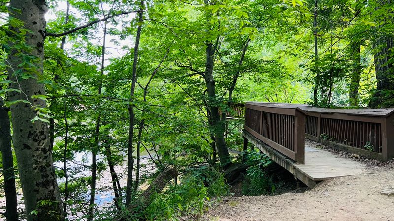 The Scenic Hiking Trails