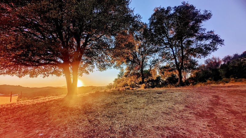 The Seasonal Beauty That Changes Everything The Seasonal Beauty That Changes Everything