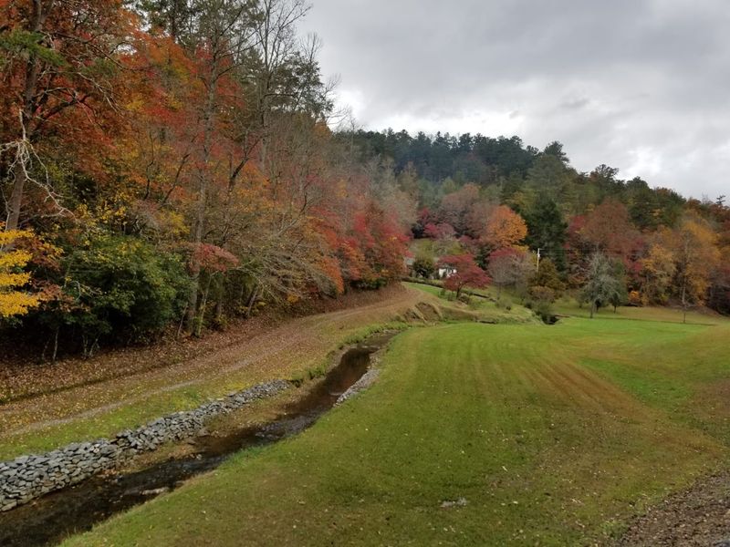 The Seasonal Fall Foliage Spectacle The Seasonal Fall Foliage Spectacle
