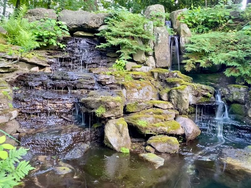 The Serene Japanese Garden The Serene Japanese Garden