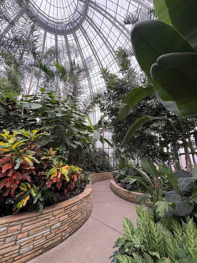 The Stunning Conservatory Right Next Door