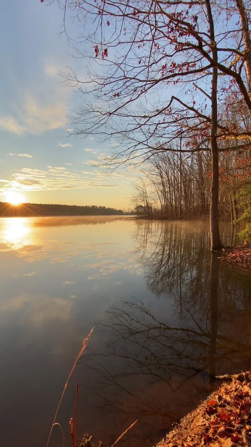 The Stunning Lake Views That Make Every Visit Worthwhile