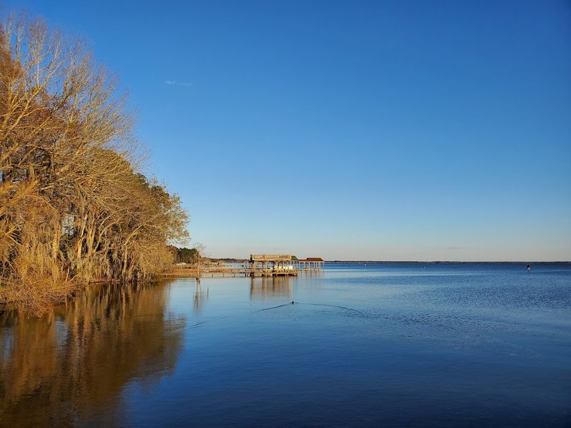 The Stunning Natural Beauty of Lake Waccamaw The Stunning Natural Beauty of Lake Waccamaw
