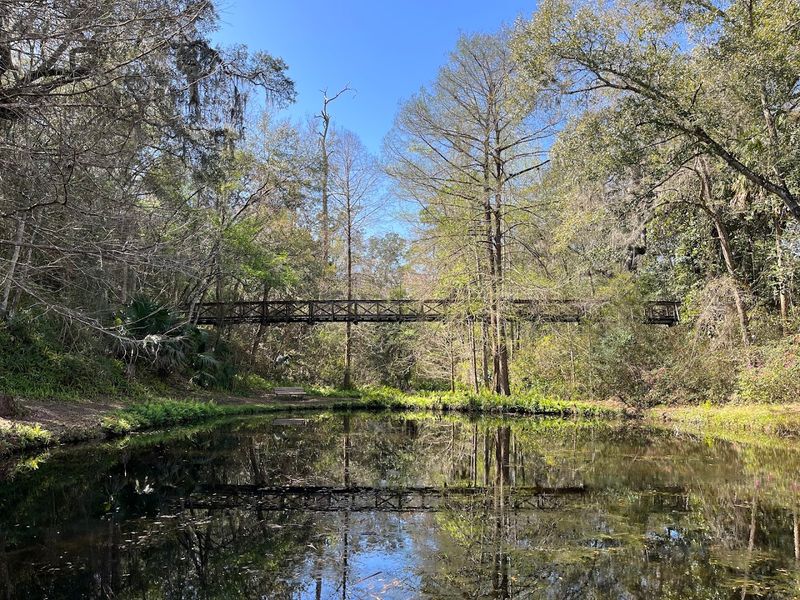 The Stunning Steephead Ravines That Make This Park Truly One-Of-A-Kind The Stunning Steephead Ravines That Make This Park Truly One-Of-A-Kind