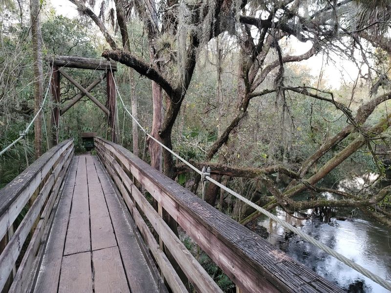 The Suspension Bridge That Stops Everyone in Their Tracks