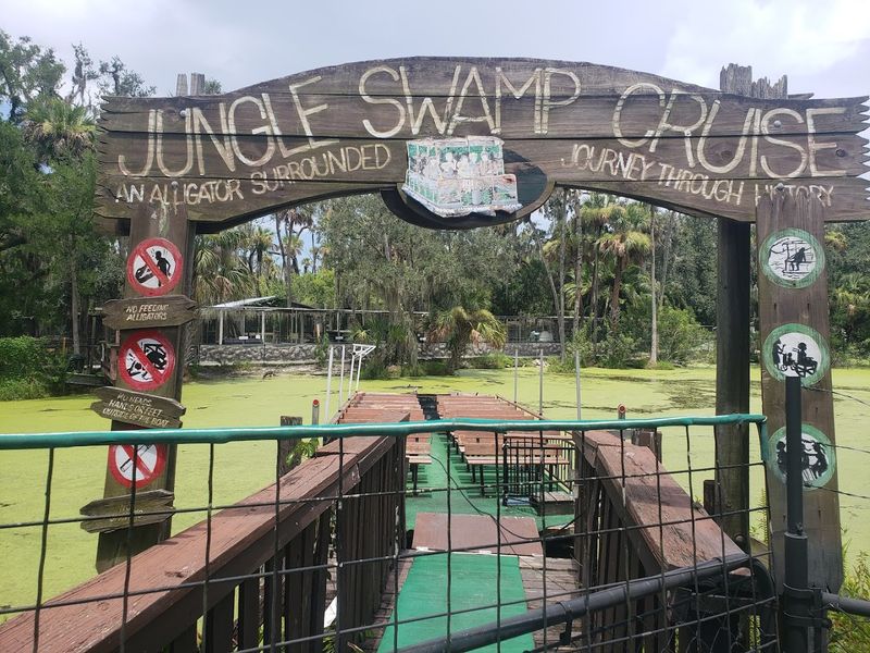 The Swamp Boat Ride Through a Natural Florida Wetland