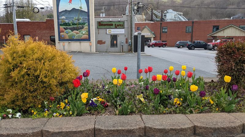 The Thriving Arts and Crafts Community