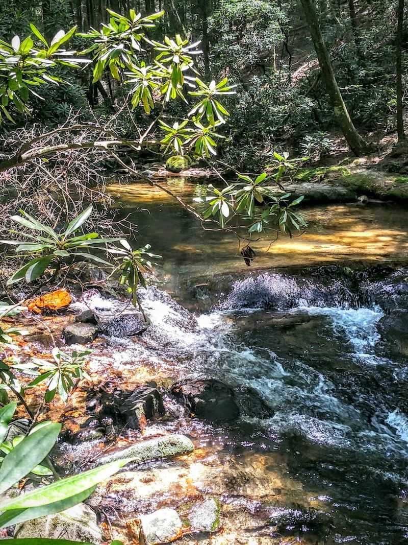 The Toccoa River Scenery