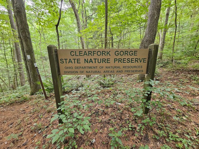 The Trailhead: Where the Adventure Begins