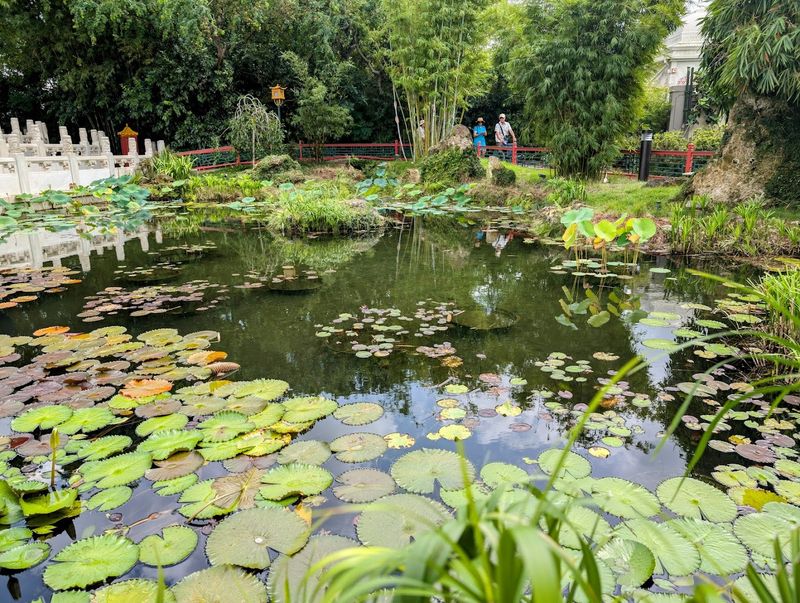 The Tranquil Gardens and Ponds