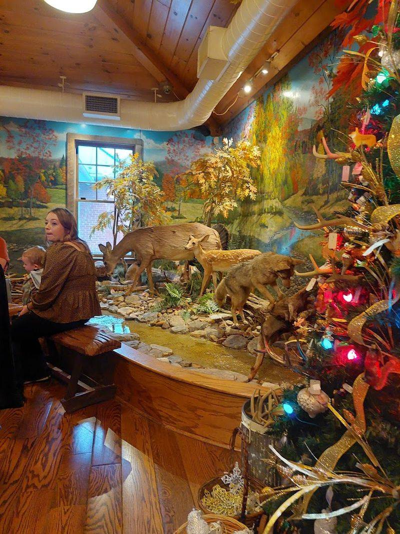 The Trout Pond: A Quirky Highlight for All Ages