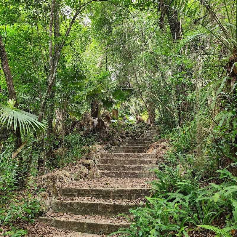 The Unique Steephead Ravines That Make This Park Unlike Any Other in Florida