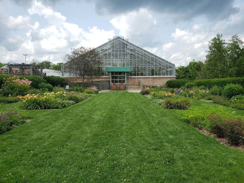 The University of Michigan Connection