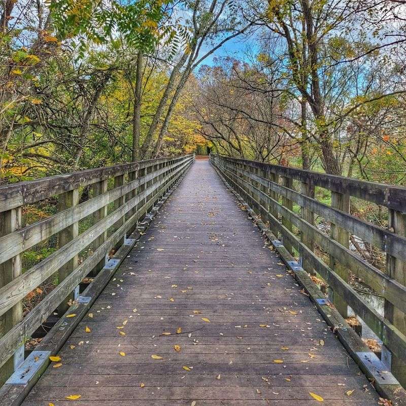 The Virginia Creeper Trail Keeps You Active Every Day