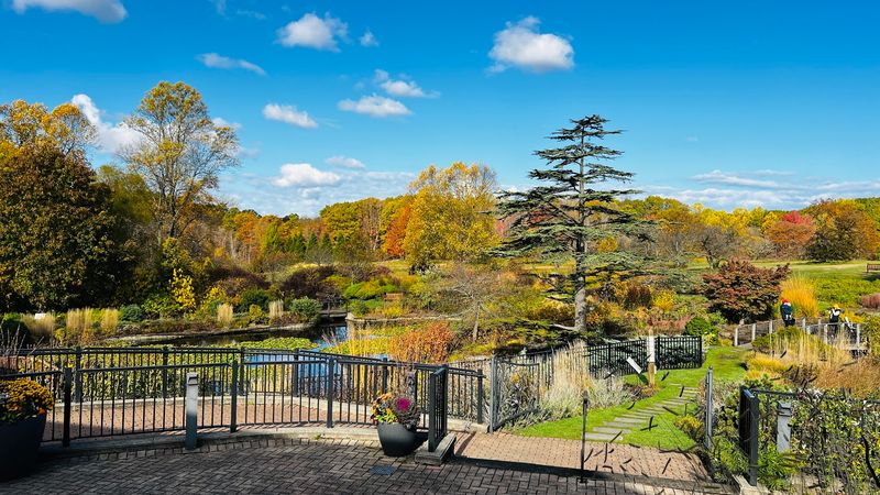 The Visitor Center, Gift Shop, and Food Options