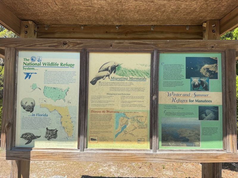 The Visitor Center and Manatee Education Opportunities The Visitor Center and Manatee Education Opportunities