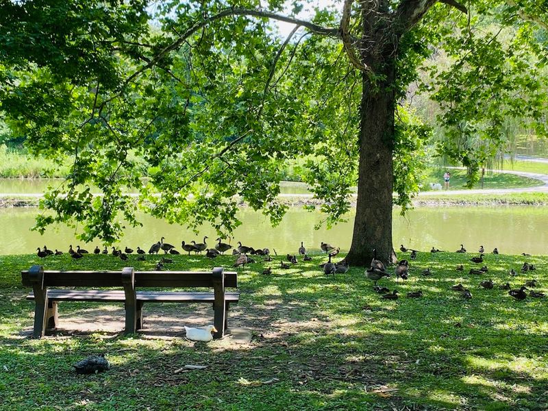 The Waterbird Lagoon and Woodland Trek