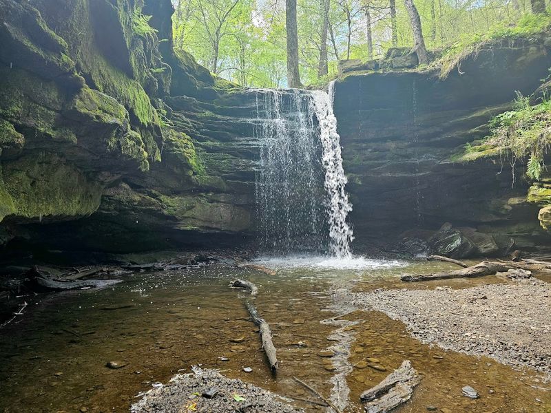 The Waterfall Itself: Nature's Showstopper