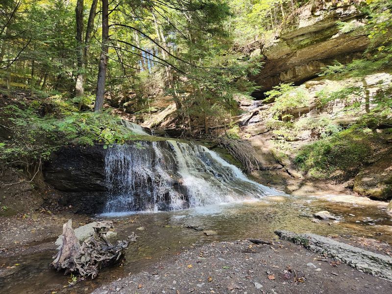 The Waterfall Trail: A Short and Sweet Adventure The Waterfall Trail: A Short and Sweet Adventure