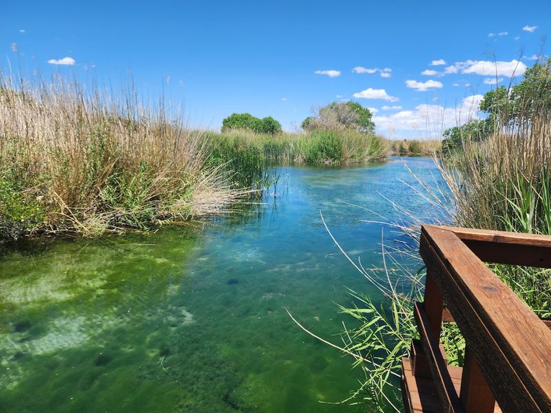 The Wetlands — A Hidden Gem Within the Park