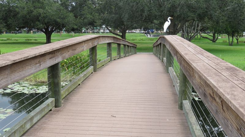 The Wooden Bridges That Connect Everything