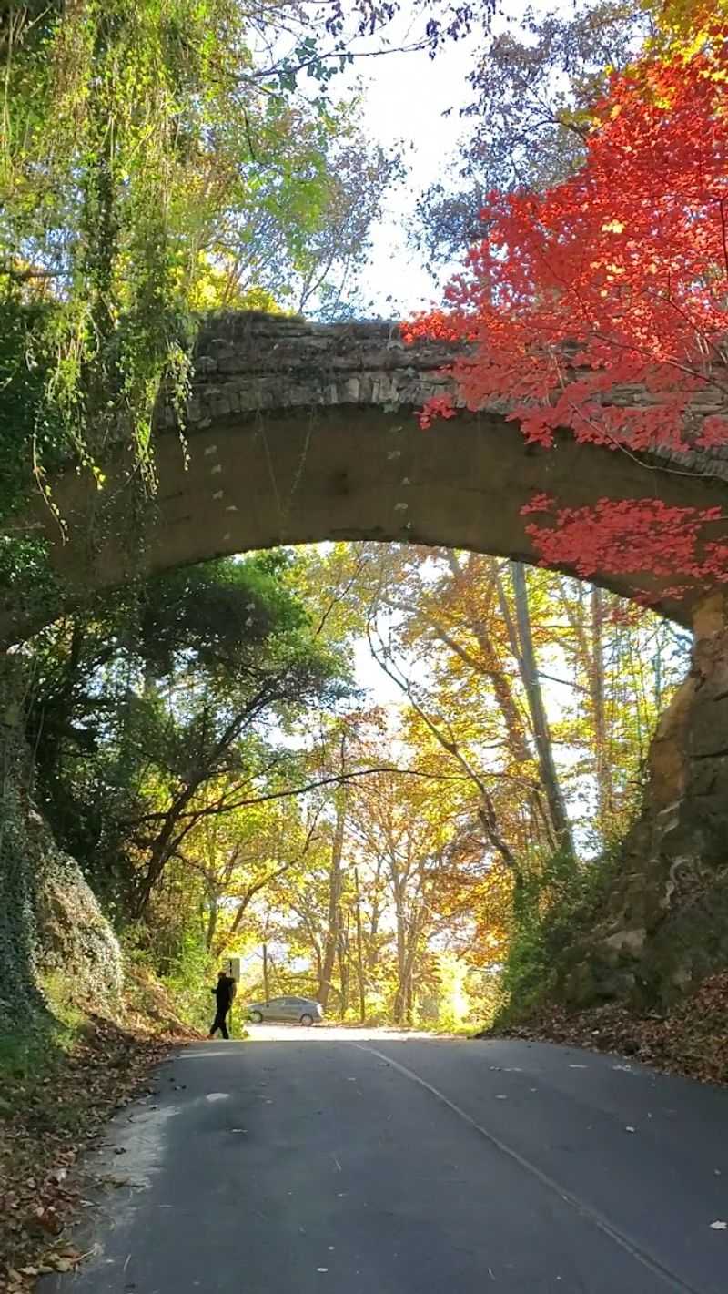 The Zealandia Mansion Connection