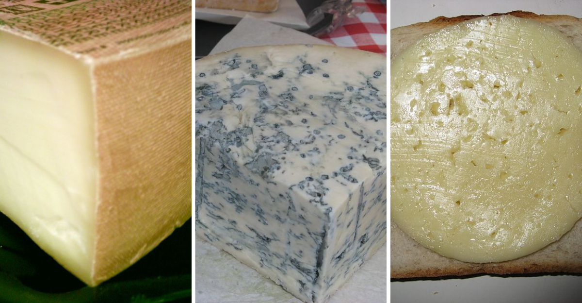 The world’s most delicious cheeses, ranked from beloved classics to unforgettable favorites