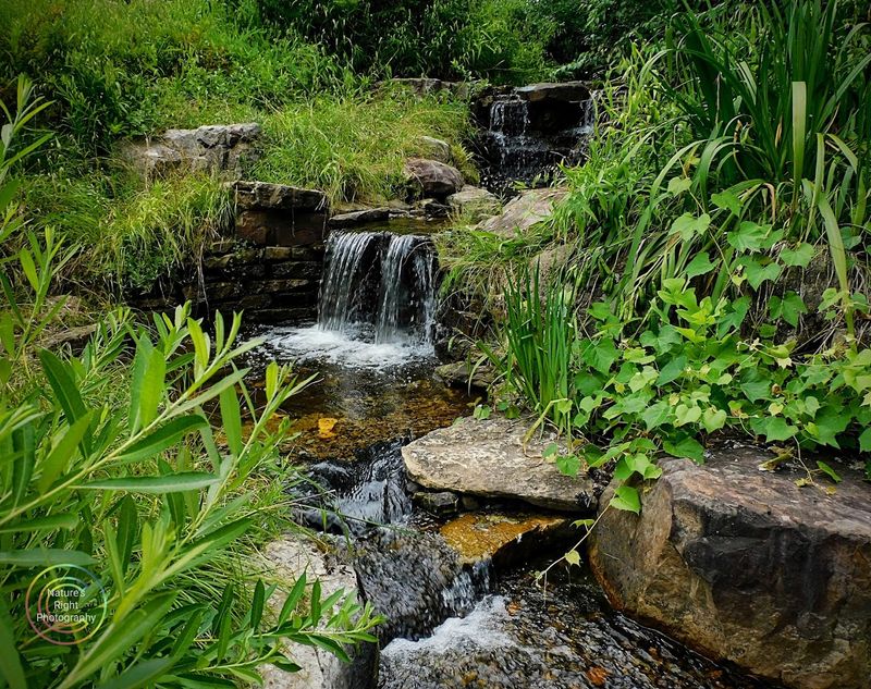 Themed Gardens That Will Leave You Speechless