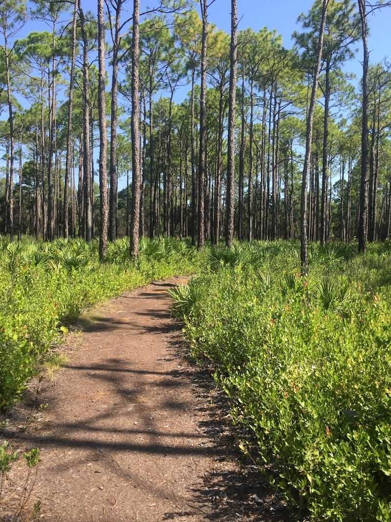 Therapeutic Solitude for Solo Adventurers Therapeutic Solitude for Solo Adventurers
