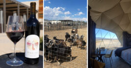 There’s No Better Spot For A Glass Of Wine Than This Animal-Friendly Arizona Winery