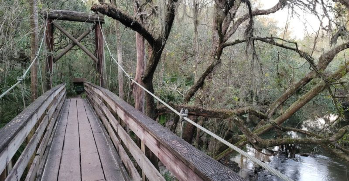 There’s a little-known Florida trail that leads to a dreamy, secluded forest escape