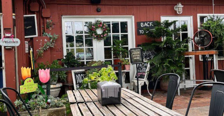 There’s a magical garden café hidden in Florida that locals have adored for more than a decade