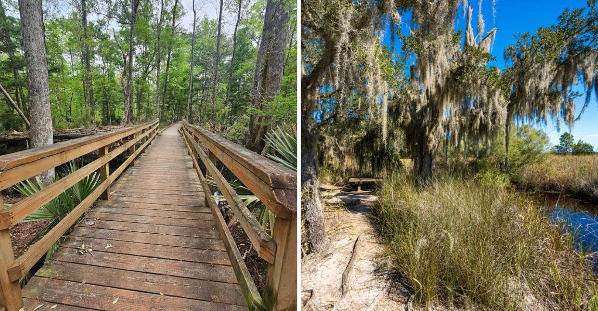 This 3.6 Mile South Carolina Hike Is So Scenic It Looks Like A Painting Come To Life
