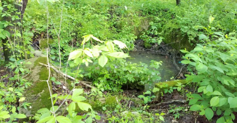 This 68-acre Virginia park was built atop the ruins of a historic iron furnace and is packed with fascinating history