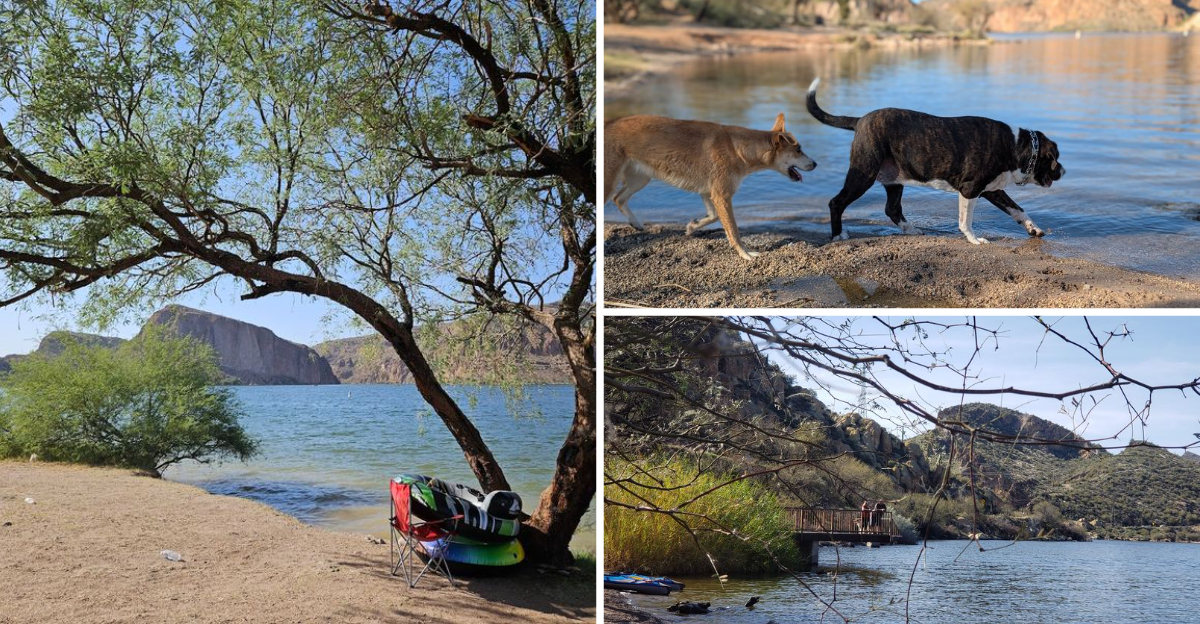 This Arizona Lake Beach Offers Crystal Clear Water And Desert Views That Feel Almost Unreal