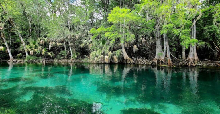 This Beautiful 5,000-Acre Florida State Park Is Home To The Largest Artesian Spring On Earth