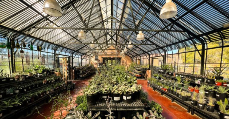 This Beautiful Arizona Botanical Garden Is One Of The State’s Most Overlooked Gems