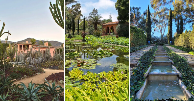 This Beautiful California Botanical Garden Remains One Of The State’s Best-Kept Secrets