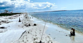 This Beautiful Florida Beach Is So Secluded, Many Travelers Don’t Know It Exists