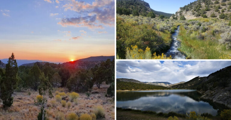 This Breathtaking Nevada State Park Is So Undiscovered, You May Feel Like You Have It To Yourself