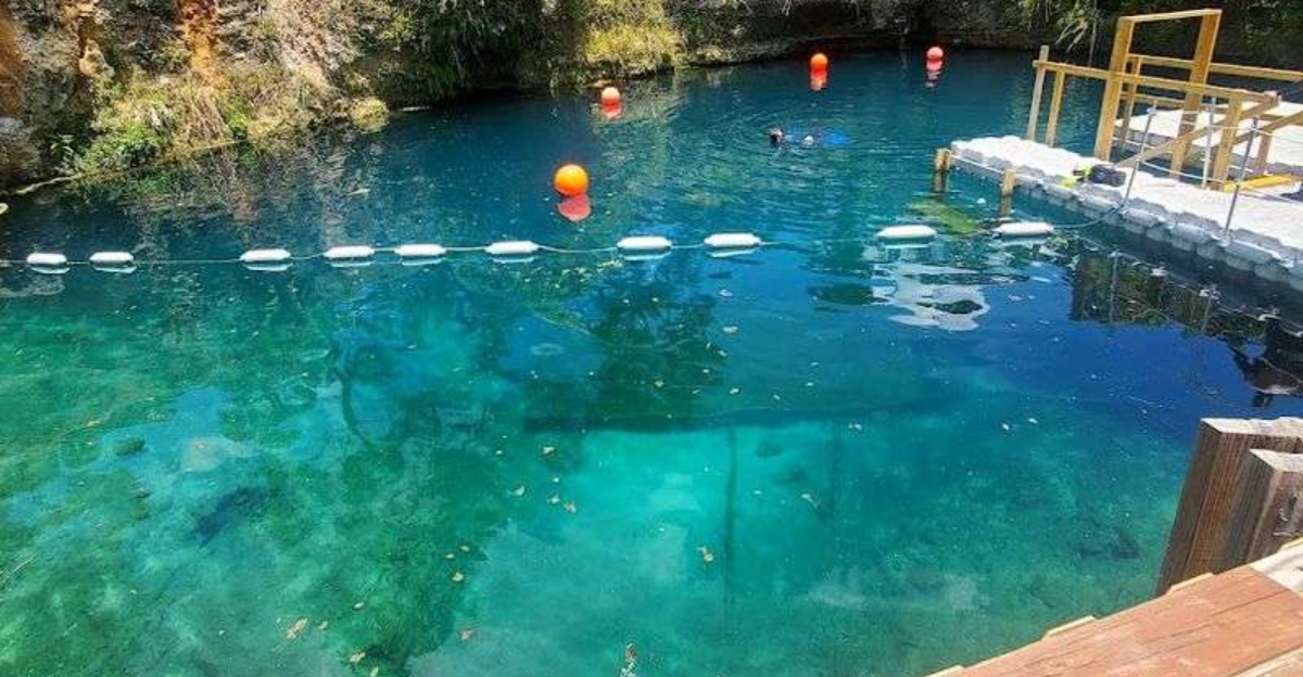 This Breathtaking Swimming Hole In Florida Remains One Of The States Hidden Gems
