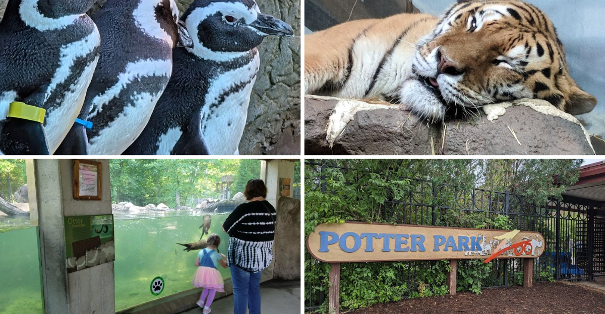 This Charming Michigan Zoo Deserves A Spot On Every Familys Bucket List