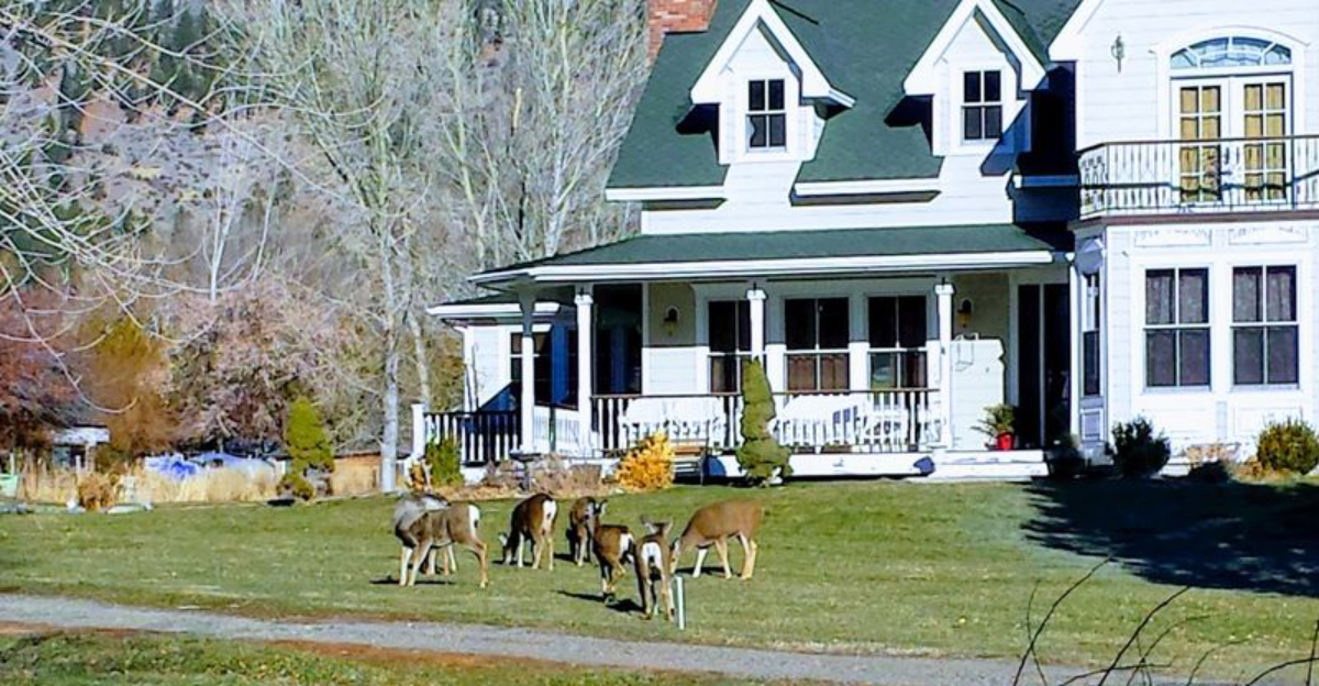 This Charming Nevada Town Is So Affordable That Retirees Say Social Security Goes A Long Way