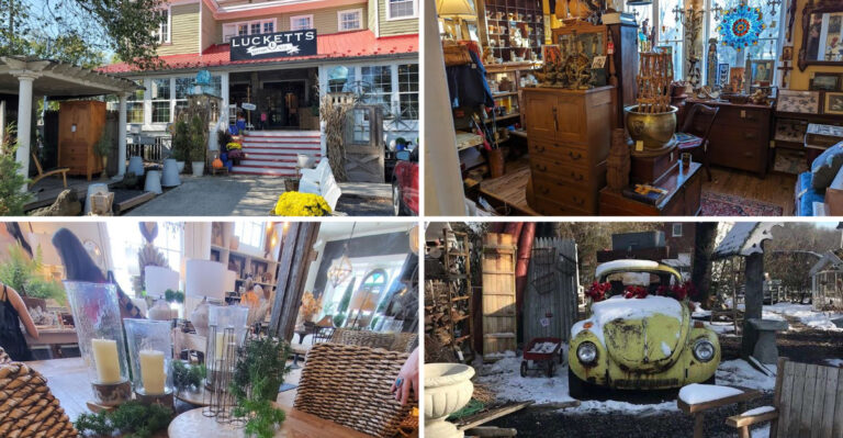 This Charming Virginia Antique Store Is Filled With Treasures You’ll Never See Coming