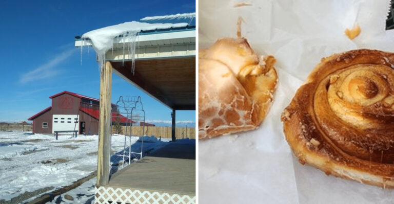 This Colorado Amish Bakery Is Famous For Cinnamon Rolls That Are Almost Impossible To Finish Alone