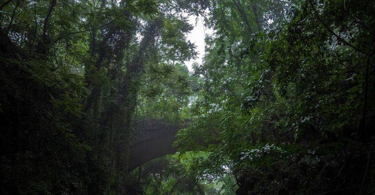 This Creepy North Carolina Bridge Becomes Even More Unsettling After Dark