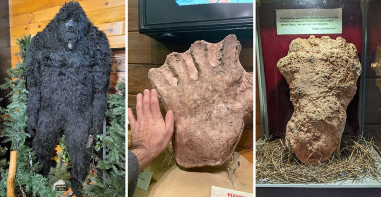 This Delightfully Strange Bigfoot Museum In Georgia Is Unlike Anything Else You’ll Visit