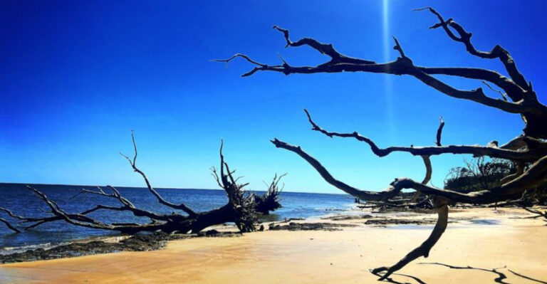 This Dreamy Florida Beach Is One Of The Gulf Coast’s Best-Kept Secrets