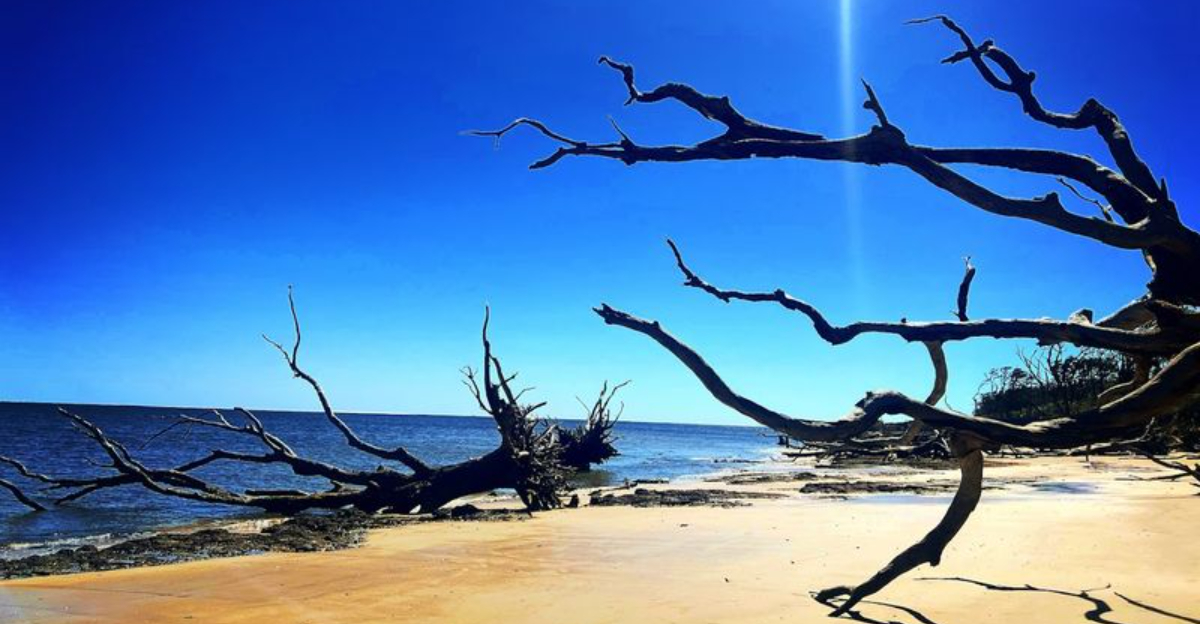 This Dreamy Florida Beach Is One Of The Gulf Coasts Best Kept Secrets