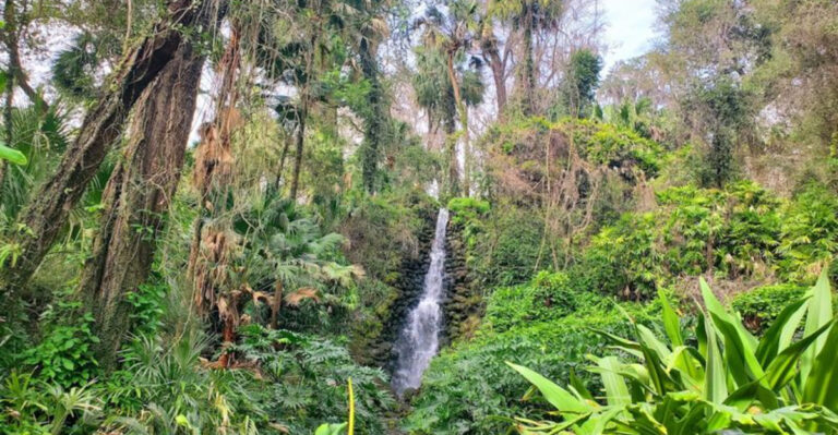 This Easy Florida Trail Features Stunning Man-Made Waterfalls Around Every Turn